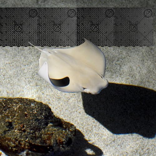 20pcs Fish Tank Undergravel Filtration System Fish 10 Gallon Tank Divider Fish Tank Stand Under Gravel Substrate for Black Fish Tank Bottom Grid