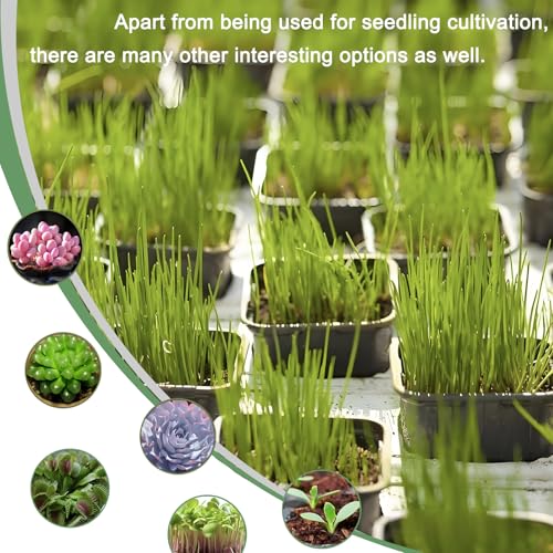2 Inch Square Nursery Pots, 50 Pack (25 Clear + 25 Black) Seedling Starter Pots, Plastic Plant Pots with Drainage Holes, for Seed Germination, Root View, and Light Blocking - color: Clear + Black (50pcs)