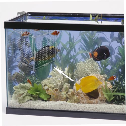 DOITOOL 1set Acrylic Aquarium Isolation Box Cups and Hook Breeding Container for Betta Fish and Shrimp Safe Design for Easy Observation and Feeding