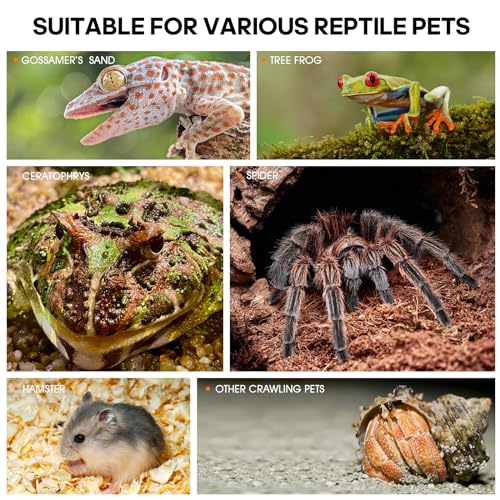 Acrylic Jumping Spider Enclosure - Insect Terrarium for Spiders, Mantises, Tarantulas & Frogs - size: Large