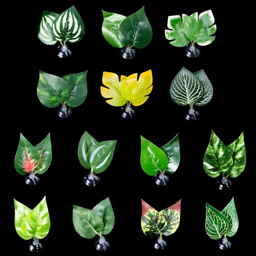 Suction Cup Pad Resting Bed for Bettas Fish Hammock Fishtanks Spawning Ground Aquariums Breeding Supply Fishtanks Ornament