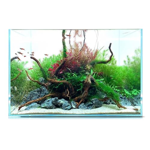 Ultra Clear 4 Gallon Rimless Low Lron Aquarium Tank, 10" L × 10" W × 10" H (25cm x 25cm x 25cm) 1/5 inch Thickness Ultra HD Glass Fish Tank with Black Nano Foam Leveling Mat Included - size: 10" L × 10" W × 10" H