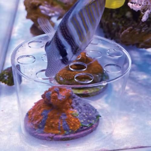 Acrylic Coral Feeder Cover Reef Feeding Breeding Protection Cover Avoid Corals Food Floating Around
