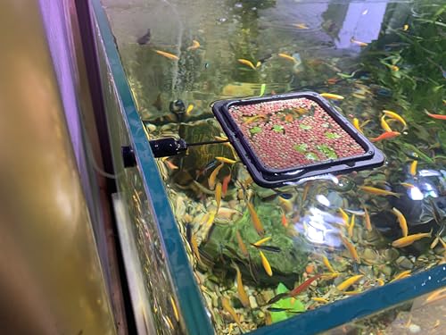 Magnetic Fish Feeding Ring, Floating Aquarium Feeder Ring for Fish Tank,Betta Feeding Ring for Goldfish, Guppy, Fresh/Saltwater Tanks- Prevents Food Scattering and Anti-Falling Off(Patented Product)