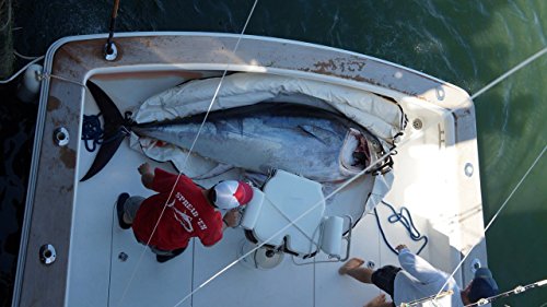 CANYON Fish Bag - Big Eye/Albacore, B-20 (40" x 84")