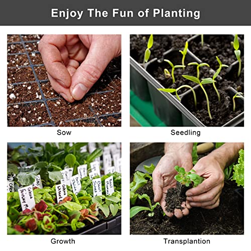 Elcoho 6 Pack Seed Starter Tray Kit 40 Cells Seedling Trays with Humidity Dome and Base Mini Propagator Plant Nursery Pots Total 240 Cells for Greenhouse Plants Growing, Black - color: Black