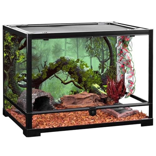 AWERT 24x16 inches Foggy Forest Terrarium Background Stone Green Tree Tropical Reptile Habitat Background Rainforest Aquarium Background Durable Polyester Background - size: 24x16in/60x40cm