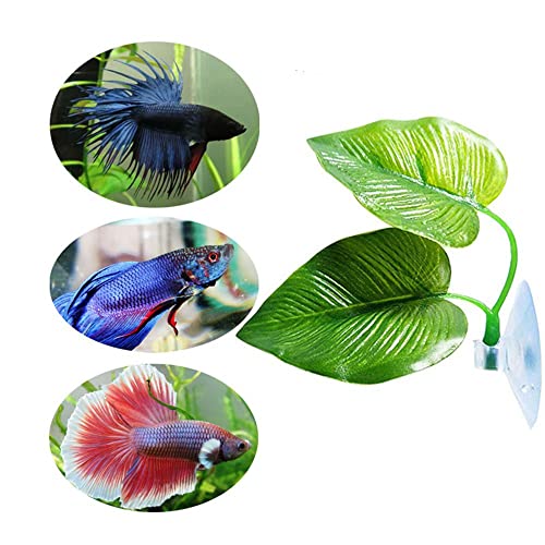 Betta Fish Leaf Pad Improves Betta's Health by Simulating The Natural Habitat for Tank Aquarium Breeding Resting Bed