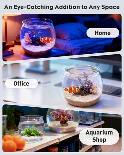Pawfly 0.5 Gallon Mini Plastic Fish Bowl, Unbreakable Small Fishbowl Desktop Aquarium, Clear Round Plastic Fish Tank for Small Fish, Shatterproof Betta Fish Tank Goldfish Bowl, Decorative Globe Vase - size: 0.5 Gallon Fish Bowl