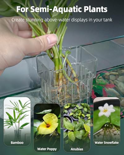 Pawfly 2 Pcs Clear Acrylic Aquarium Plant Holder for Fish Tanks, Top Hanging Fish Tank Planting Holder with Hook, Adjustable Aquarium Planter Cup