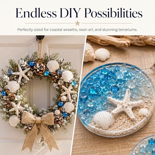 24 Pcs Starfish and Scallop Shells with Sea Glass, 3"-4" Large Natural Sea Shells for Crafts and Decorating, Seashell Decor for Beach Party, Wedding, Vase Filler, Christmas, Coastal Home DIY