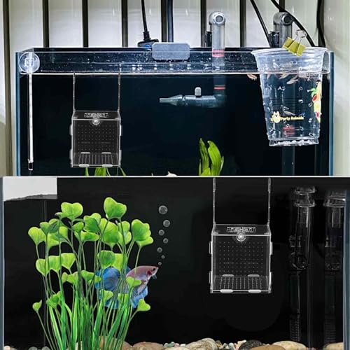 5.9 x 5.9 x 5.9 inch Acrylic Fish Breeding Box, Transparent Isolation Hatchery Incubator with Suction Cups for Guppy Shrimp Small Baby Fishes Aquarium Nursery Tank - size: 5.9 x 5.9 x 5.9 inch