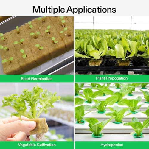 VIVOSUN 1" Rockwool Cubes, 200 Plugs Stonewool Starter Grow Cubes for Cuttings, Cloning, Plant Propagation, Seed Starting, Hydroponic Grow Media for Vigorous Plant Growth - size: 1"-200 Plugs