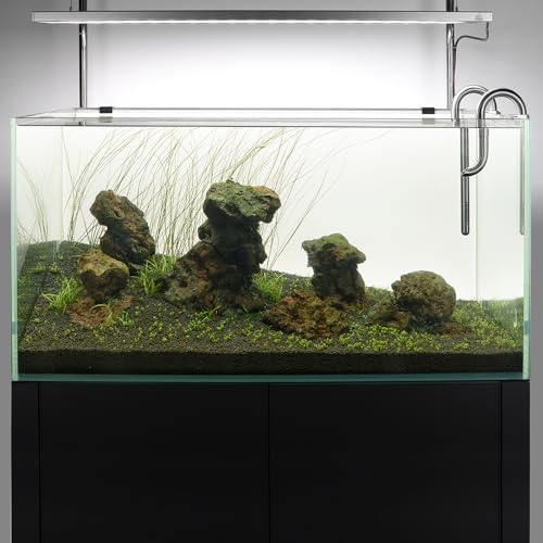 LINLAN 304 Stainless Steel Lily Pipe Inflow and Outflow with Mini Aluminum Alloy Pipe Holder, 360° Rotatable Outflow, Fits 5/8 Inch ID Filter Hose, for Rimless Aquariums (5/8")