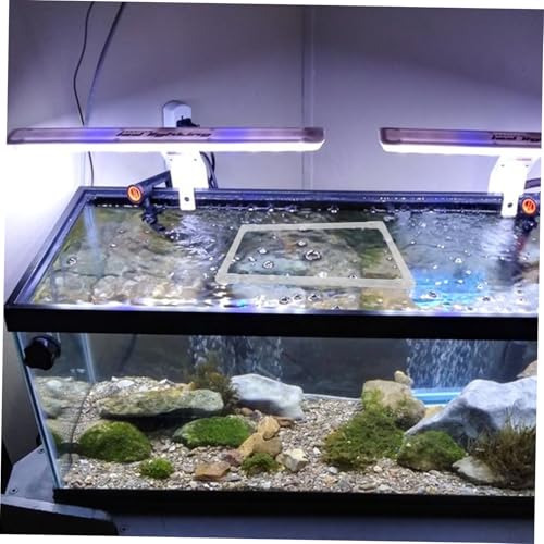 1Set Aquarium Floating Plant Ring Feeding Isolation Barrier for Freshwater Tanks Stable Floating Plant Holder Preventing Fish Disturbance Easy Integration with Aquarium Environment
