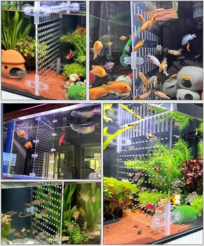 180° Aquarium Divider for Baby Fish - Clear Acrylic Separator Board for Optimal Fish Separation, Tank Organization & Easy Maintenance