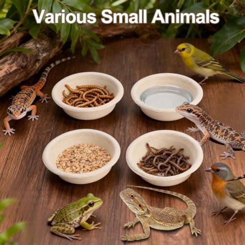100 Pcs Large Gecko Food Cups - 1oz Disposable Biodegradable Plant Fiber Feeding Bowls, Terrarium Accessories for Crested Gecko, Lizards & Reptile Pets