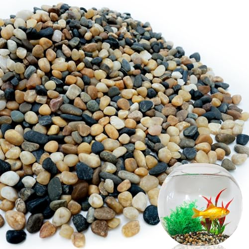 3 lb Aquarium Gravel, 1/4" Ph-Natural Pea Gravel for Fish Tank,Small River Rocks for Plants, Decorative Aquarium Pebbles for Vase Fillers, Landscaping, Succulent, Cactus, Terrarium, Bird Bath - size: 3 lb