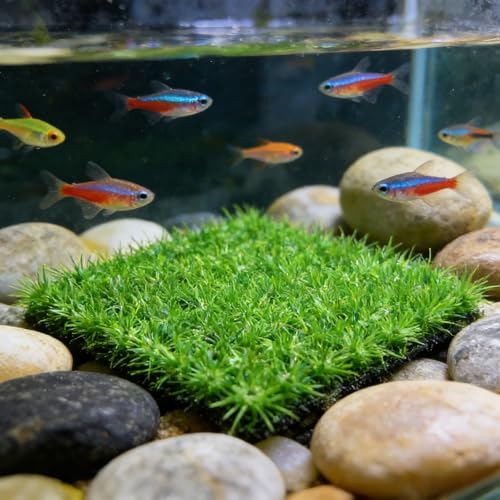 Aquarium Decor Artificial Plastic Lawn Grass,4PCS 9 inches Fish Tank Decorations, Easy Install Green Plants for Aquariums and Hermit Crab Climbing Habitats with 16 Suction Cups - size: 4pcs10"*10"