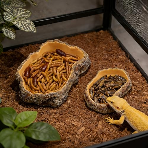 Reptile Food Dish, Terrarium Water Bowl, Feeding Bowl for Reptile Amphibian Pets - size: Small
