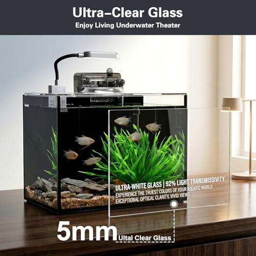 2 Gallon Small Aquarium Set Glass Fish Tank,Desktop Small Aquarium Kit for Beginners and Children to Keep Betta Fish, Goldfish, Shrimp, and Aquatic Plants (Black, 2 Gallon (Complete Kit) ) - size: 2 Gallon (Complete Kit) 