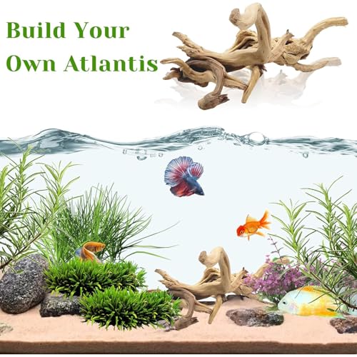 Natural Driftwood for Aquarium, 11-13 inch Reptile Branches Terrarium Wood Aquarium Trunk Driftwood Tree Fish Tank Log Decoration Pack of 2 - size: Spiderwood(7-13 inch pack of 2)