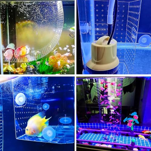 5 10 20 29 40 55 75 Gallon Aquarium Divider to Separate Fry from Parents, Acrylic Isolation Grid Board, Panel A Betta Fish Tank Flapper Accessories(Large Fish,29gal (40x60cm)) - color: Large Fish, size: 29gal (40x60cm)