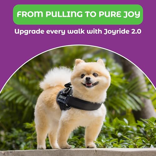 Joyride Dog Harness 2.0 | No-Pull | Black 2.0 | XL | Reflective no-choke quick-fit vest with 3 leash clips and escape-resistant design for easier walks and training - color: Black 2.0, size: XL