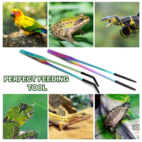 OLIISS Stainless Steel Reptile Feeding Tongs with Rubber Tip - 10.6" Straight & Curved Tweezers for Aquariums & Crafts - Feeder Tools for Bearded Dragons & Lizards - Terrarium Tank Supplies - 2 Pack
