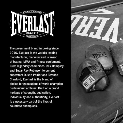 Everlast 1910 Leather Focus Mitts | Vintage Training Punching