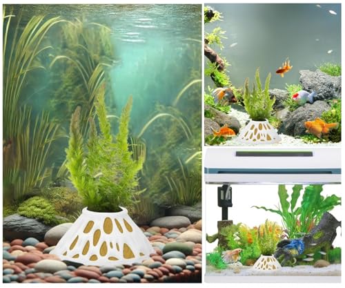 2 Pack Aquarium Plant Pots β White Plastic Aquatic Planters with Side Vent Holes, Shatterproof & BPA-Free Fish Tank Decor for Live Plants, Shrimp, Java Fern, Anubias β Freshwater & Saltwater Safe