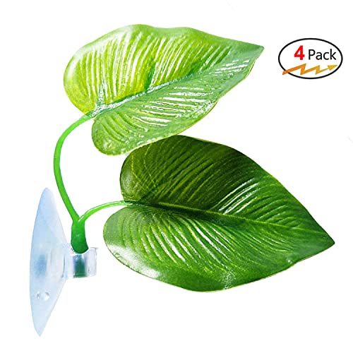 4 Pack Betta Fish Leaf Pad Improves Betta's Health by Simulating the Natural Habitat - Natural, Organic, Comfortable Rest Area for Fish Aquarium - size: 4 Pack