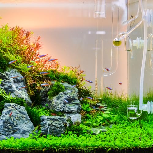 2Pcs 8mm to 5.5mm 6 Ways Air Line Tubing Splitter Connector Fish Tank Oxygen Pipe Air Tubing Adapter for Aquarium, Blue