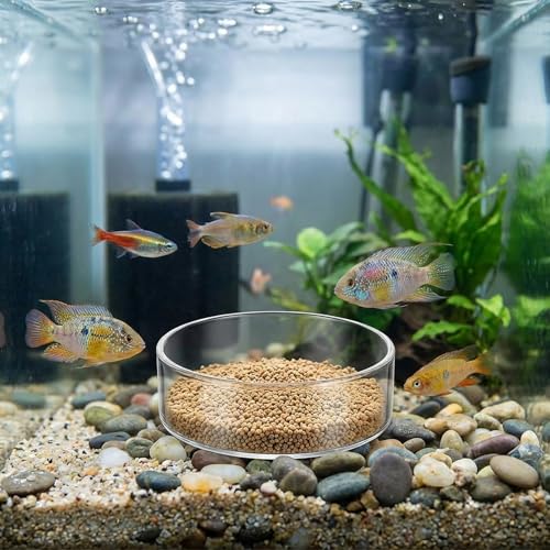 3 Sizes Glass Shrimp Feeding Dish Set, Round Food Feeder Fish Bowl Small Clear Bowls for Aquarium, Fish Tank (2.36", 2.56", 3.15")