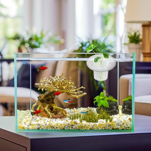 5Set Floating Aquarium Plant Holder, Aquatic Plants Cup with White Foam Floating Ring, Aquarium Planting Baskets, Fish Tank Plant Holders for Aquatic Plant Cultivation and Aquascape Decoration