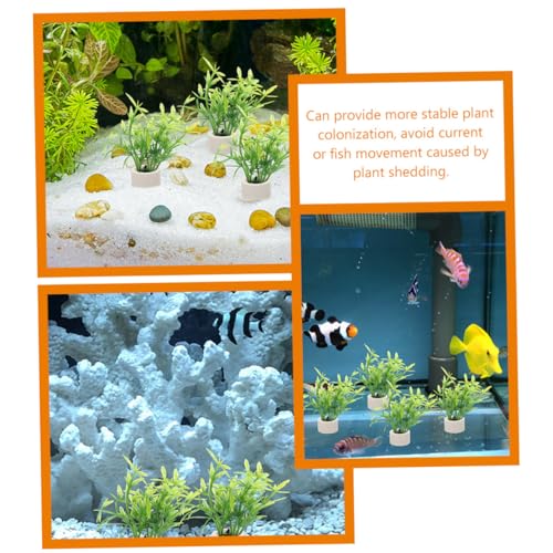 BESPORTBLE 5pcs Aquarium Plant Fixing Holder Underwater Plant Rings for Easy Planting and Decoration Fish Tanks for Beginners and Aquatic Landscapes