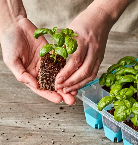 Burpee SuperSeed Seed Starting Tray | 36 Cell Reusable Seed Starter Tray | for Starting Vegetable, Flower & Herb Seeds | Indoor Grow Kit for Plant Seedlings | for Germination Success - size: 36 Cells