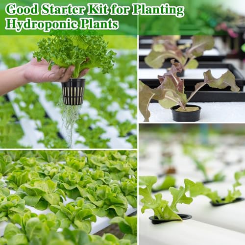 36PCS 1.2-Inch Rockwool Cubes with 30PCS 2-Inch Net Cups for Hydroponics Great Hydroponic Kit for Cuttings Clone Plant Propagation Seed Starting & Soilless Cultivation