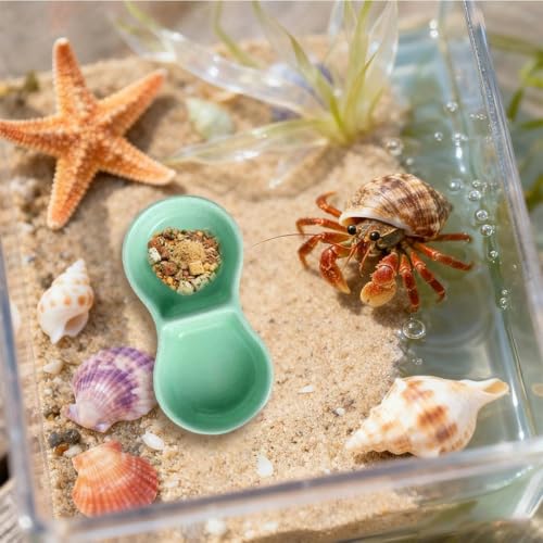 2 Pack Ceramic Hermit Crab Food Dish Hermit Crab Water Bowl Reptile Water Bowl Aquarium Accessories for Snail Frog Bearded Dragon Lizard Gecko Tortoise