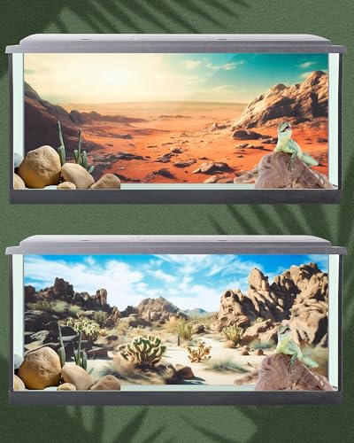 4 Pcs 48 x 18 Inch Reptile Habitat Background with Nano Glue Gobi Sun Cactus Stone and Green Tree Fern Stream Terrarium Background Polyester Durable Aquarium Accessories