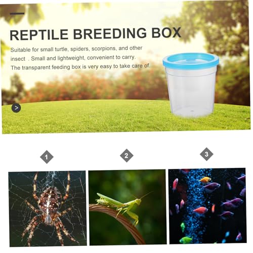 1Pc Mini Reptile Feeding Box Transparent Cup for Turtles Betta Fish Jellyfish for Spiders Pets Practical Design with Breathing for Transporting