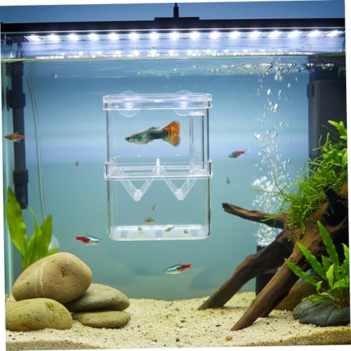 Aquarium Breeder Box, Breeder Box for Fish Tank 2 Layer Transparent Aquarium with Sucrion Cups Plastic Fish Breeding Boxes for Small Shrimp Clown Guppies
