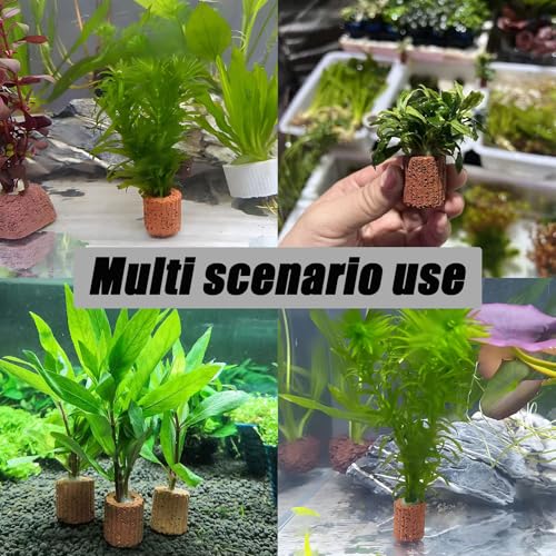 10 Pcs Aquatic Plant Fixed Ring Comes with Wrapped Cotton, 25mm/0.98inch Water Plants Cultivation Rings Ceramic Plant Pots for Aquarium Landscaping/Fish Enthusiasts - size: 25mm/0.98inch