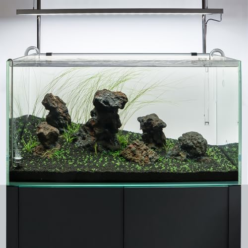 LINLAN 15.75in 304 Stainless Steel CO₂ Diffuser, Frosted Matte Material(One-Piece Molding), Equipped with Silicone Suction Cup + Replacement Diffusion Disc, Suitable for Rimless Planted Aquariums - size: 15.75in