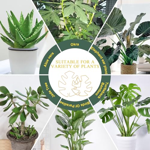 4 Pack Plant Stem Support, Adjustable Metal Monstera Plant Support Small 2PCS & Large 2PCS, Plant Supports for Indoor Plants Moss Pole Growth Plant Support Ring (Gold) - size: 5.5*5.9/2, 6.3*7.5/2