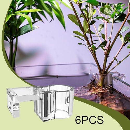 6X Aquarium Plant Holder, Aquarium Planter Cup, Transparent,Hanging Tank Plant Pot for Tank Scene Arrangement, 4.1cmx2cm - size: 4.1cmx2cm