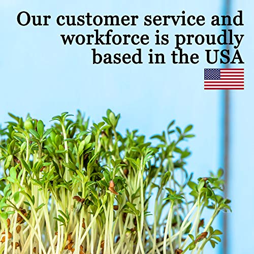 10-Pack 1020 Garden Growing Trays with Drain Holes - 10" x 20" Plastic Plant Trays with Holes - Wheatgrass Sprouting Tray, Microgreens Seed Tray, Hydroponic Trays, Nursery Flats, & Greenhouse Supplies