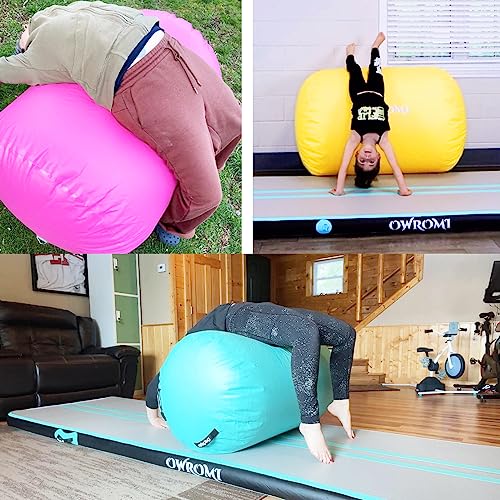 Inflatable Gymnastics Air Mat Tumble Track with Gymnastics Air Barrel - Inflatable Air Spot Tumbler Backbend Trainer Air Roller Tumbling Mat with Electric Pump - color: Light Purple - No Pump, size: 24 * 31.5in