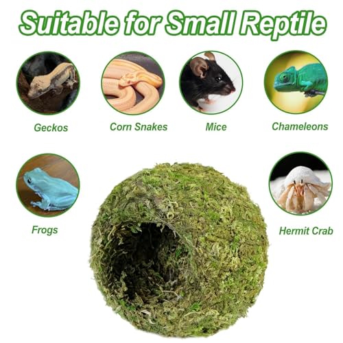 2pcs Crested Gecko Hide,Reptile Mossy Caves Hideout,Leopard Gecko Humid Hide,Natural Moss Cave Hiding Decor Tank Accessories for Reptiles, Amphibians,Invertebrates,Lizard,Frog