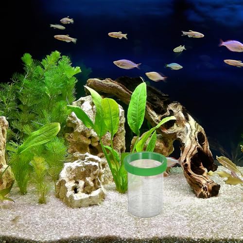 Fish Breeding Isolation Box with Divider and Floating Egg Net Small Aquarium Hatchery Incubator for Guppy Fry and Small Fish Nursery Green Compact Fry Box
